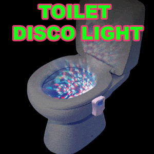 Toilet Disco Lights