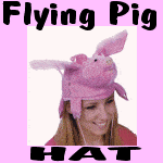 Flying Pig Hat