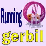 Happy Running Gerbil Wheel