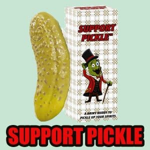 Dr, Dingus Support Pickle